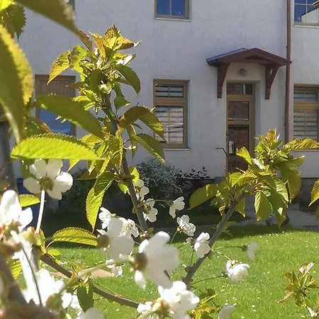 2 Otto - In Der Stadtmitte Von * 萨斯尼茨